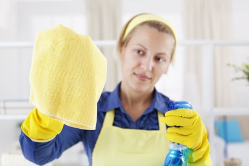 Professional carpet cleaning service in progress before the terms section