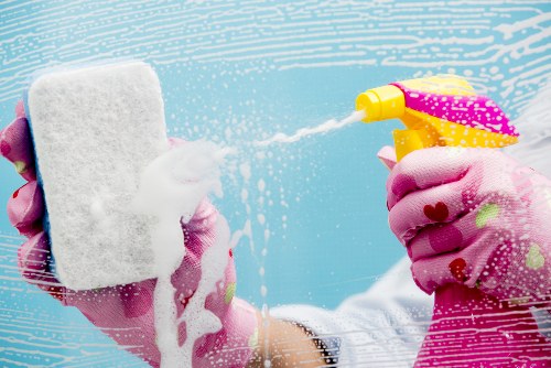 Odour neutralisation process for pet accidents on upholstery in Cheam