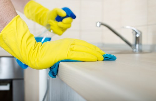 Carpet cleaner applying safe cleaning methods in a home setting
