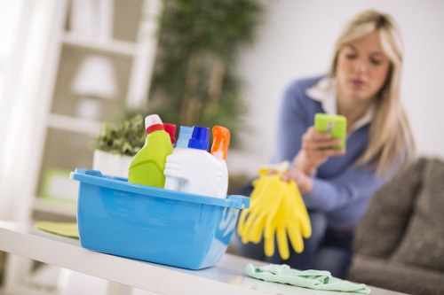 Professional carpet stain removal in Cheam