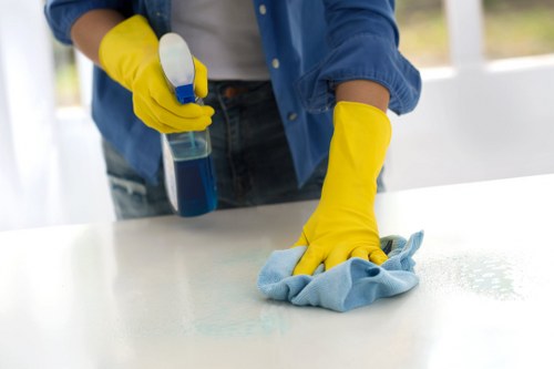 Steam cleaning carpets in Cheam interior