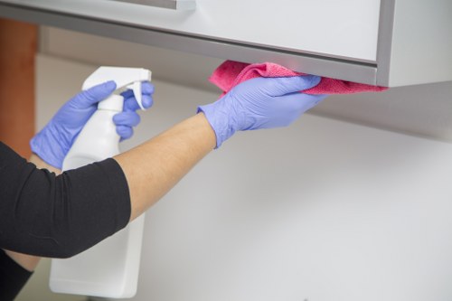 Carpet stain extraction and pet odour removal service in Cheam