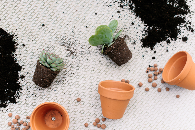 regular cleaning Clean